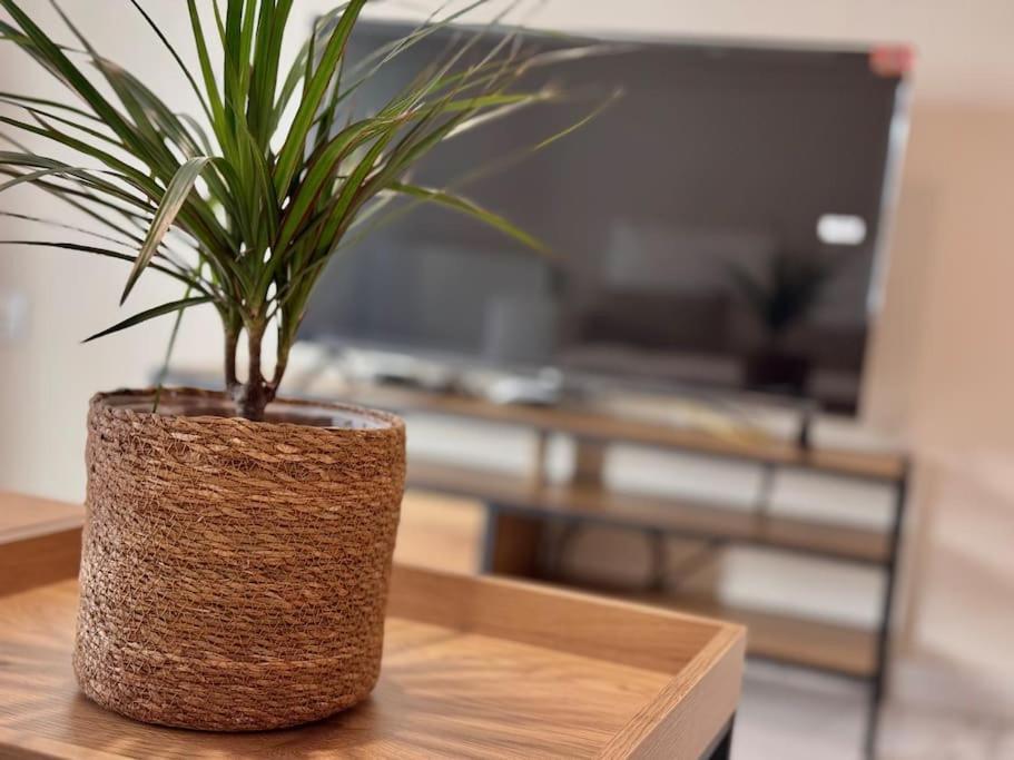 Apartamento En Pleno Centro Con Aparcamiento Opcional Κόρδοβα Εξωτερικό φωτογραφία